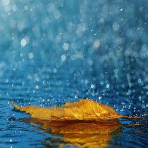 小🐤🐤戳进🍑里面电影
